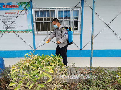 项目组织进行蚊虫消杀工作-420.jpg