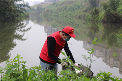 “绿岸”行动.jpg “绿岸”行动.jpg