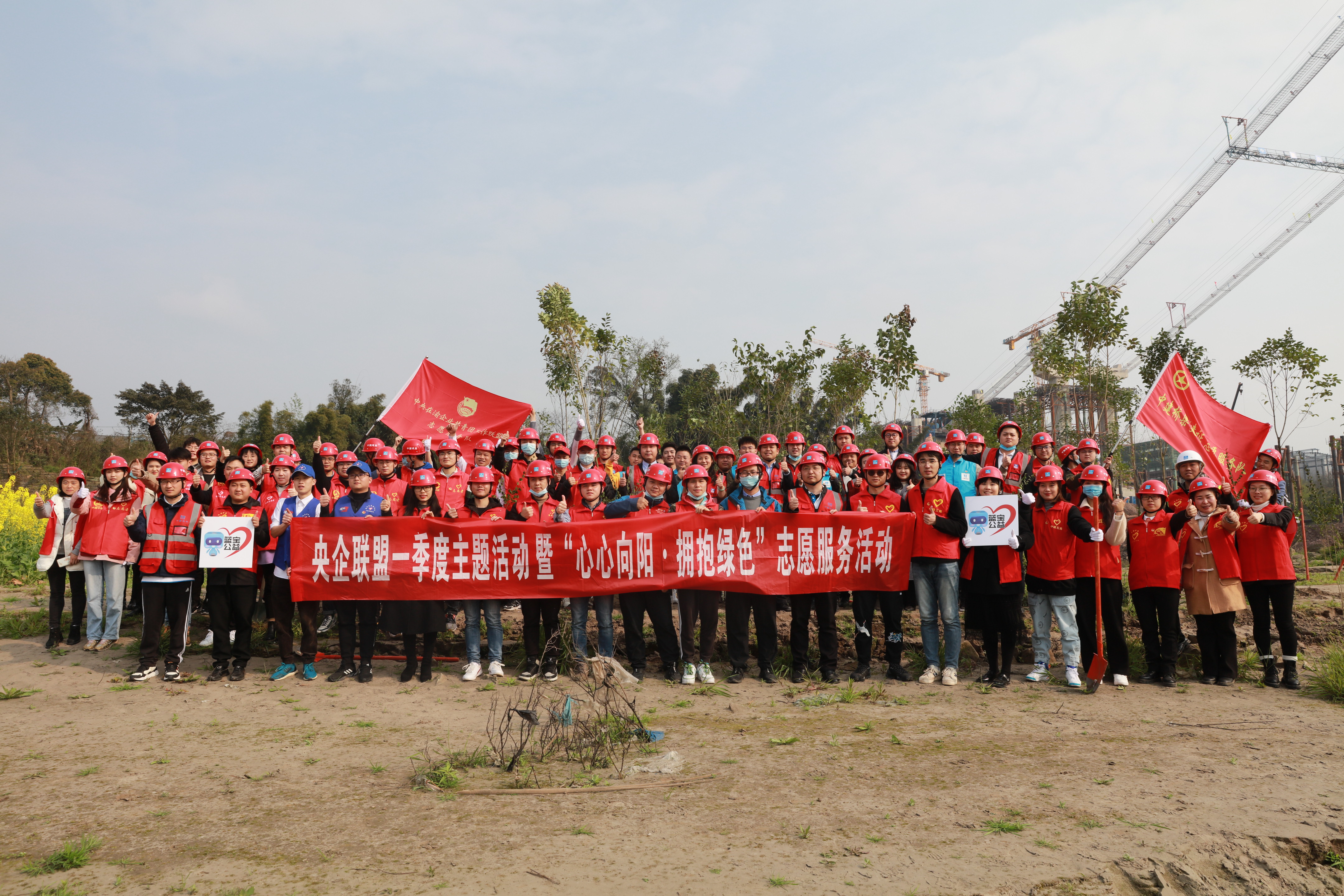 心心向阳.jpg 心心向阳.jpg