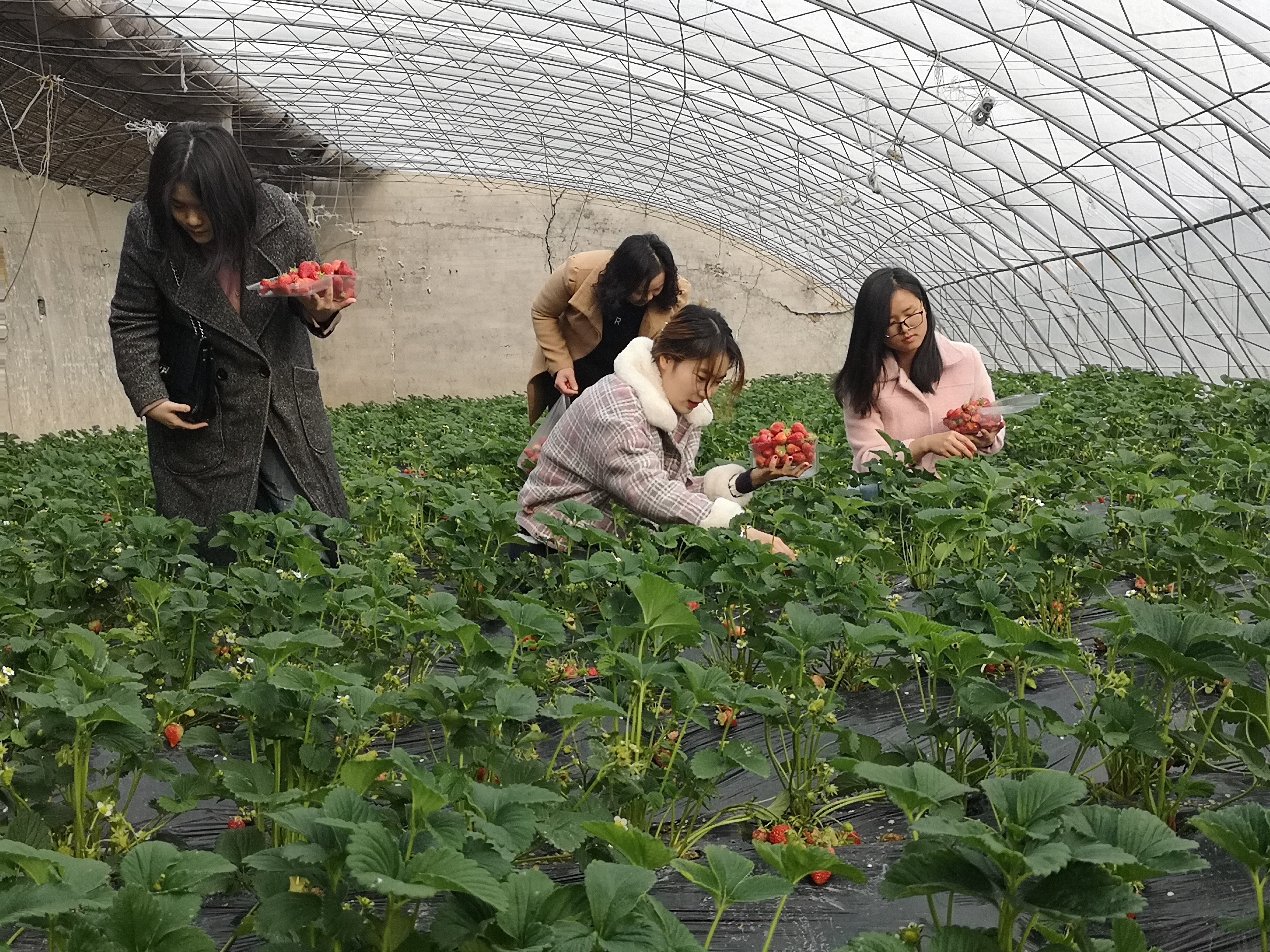 三八节1.jpg 三八节1.jpg