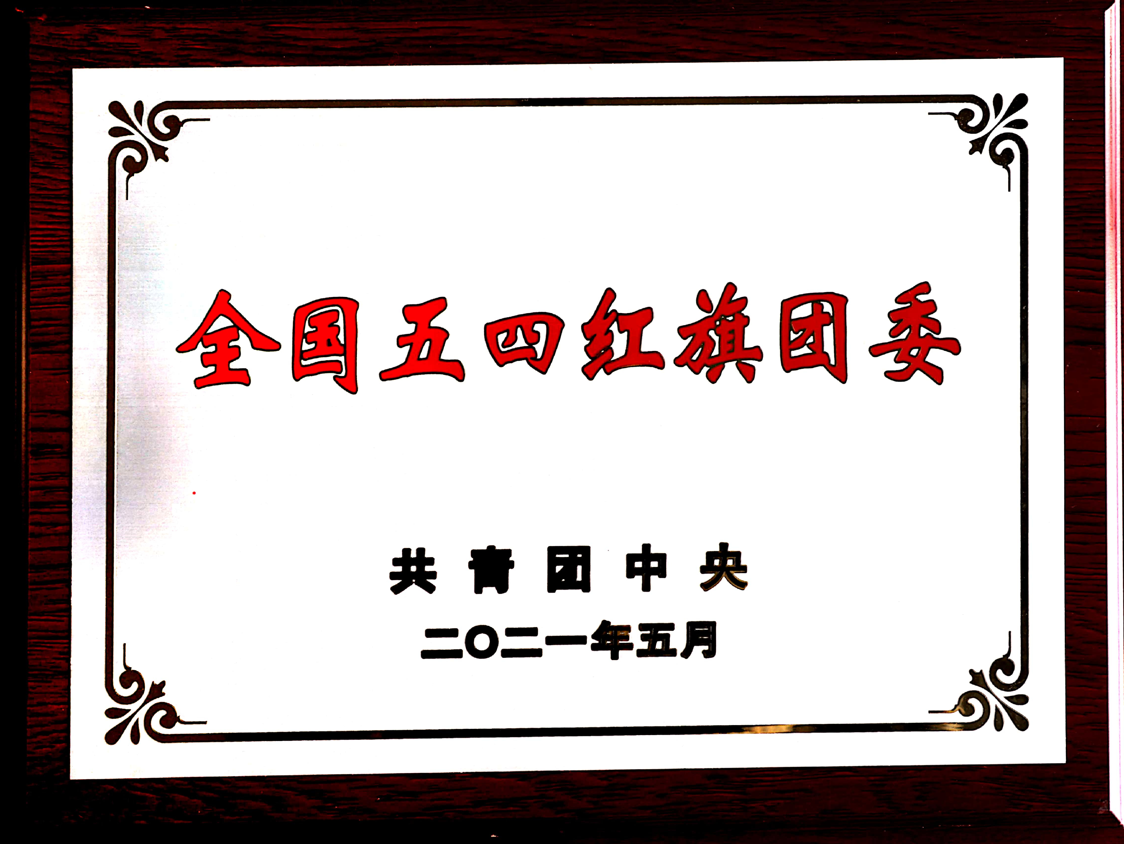 全国五四红旗团委奖牌.jpg 全国五四红旗团委奖牌.jpg