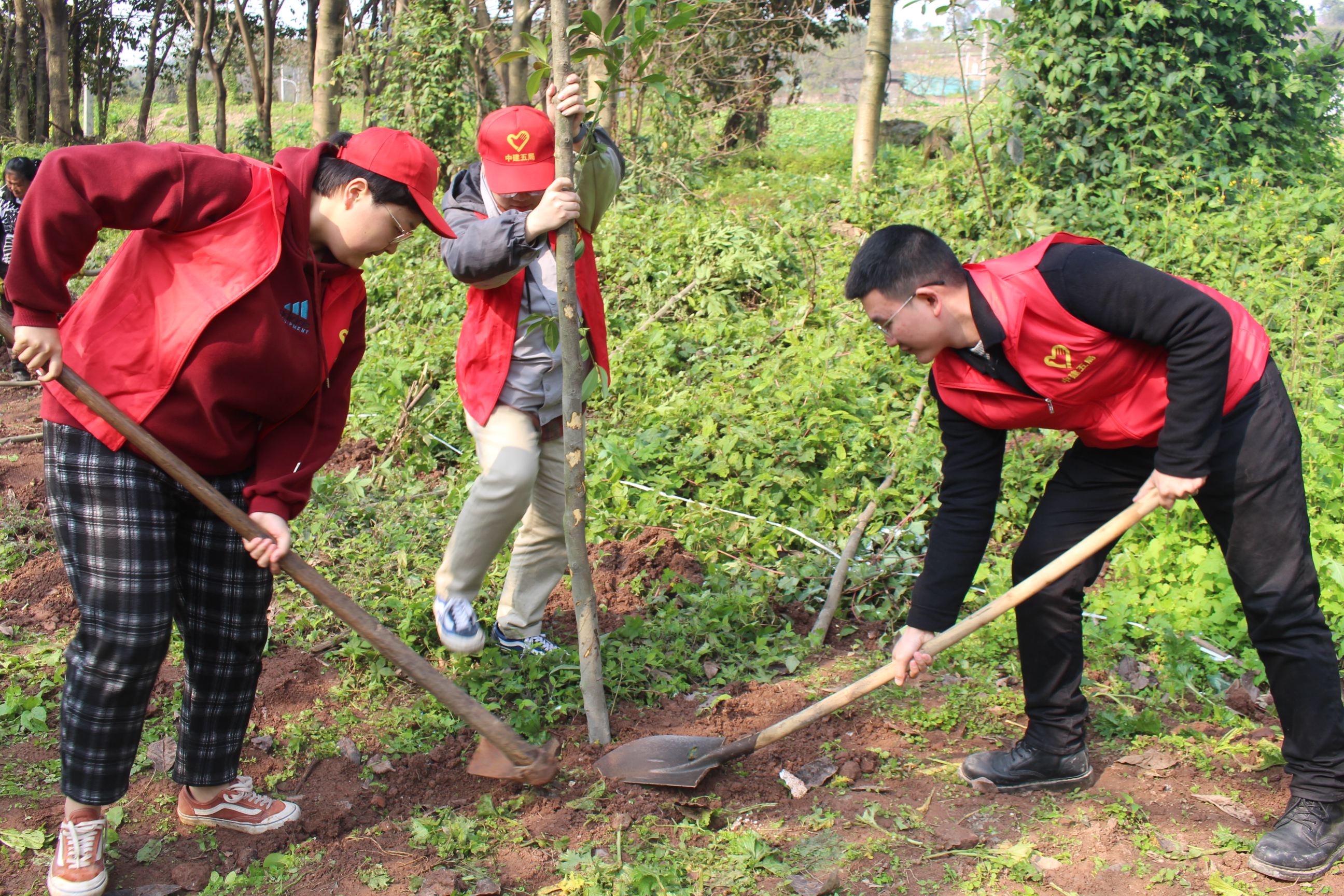 志愿者们培土植树.JPG