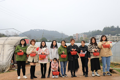 采摘草莓420.jpg