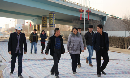 青海省统计局投资处副处长毛丽青莅临中建隧道公司海东管廊项目调研_副本.png